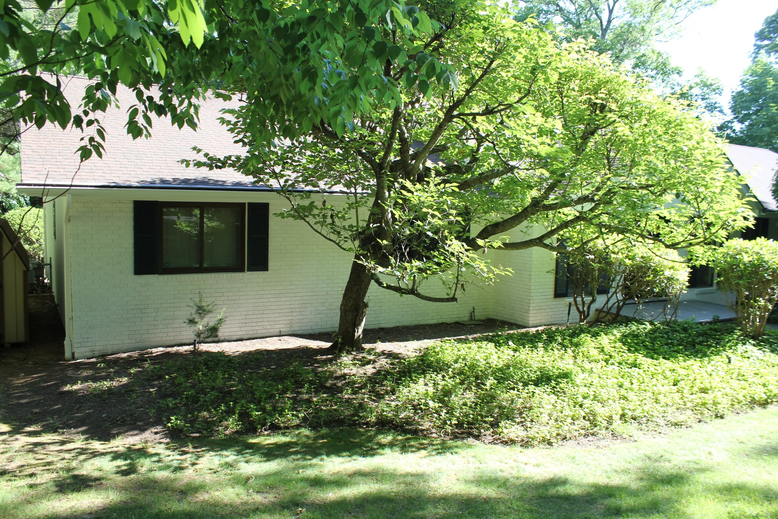 Backyard with green grass, trees, and a white brick house with black shutters.