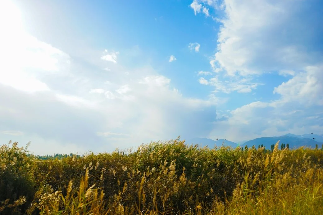 Colors That Capture The Essence Of A Blue Sky: Painting With Nature’s Most Timeless Hue