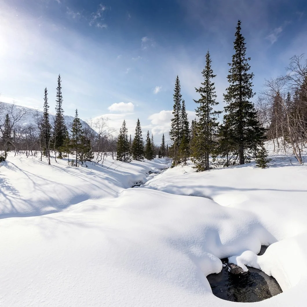 The Color of Snow: What Winter Light Reveals About Paint (And Why It Matters In Fairfield County)