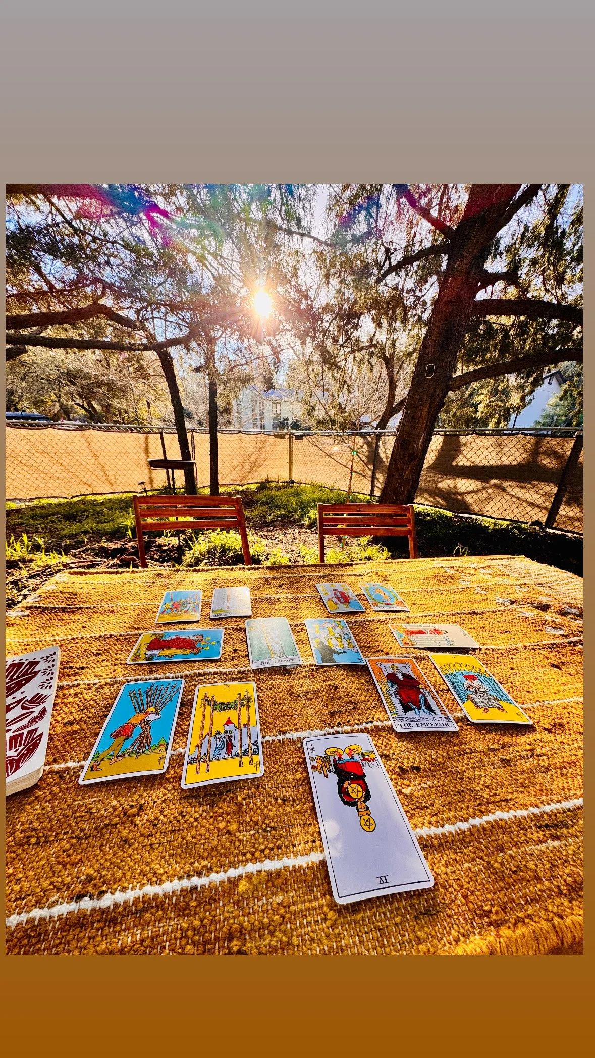 Tarot cards spread out on a table outside under the sun with trees and a fence in the background.
