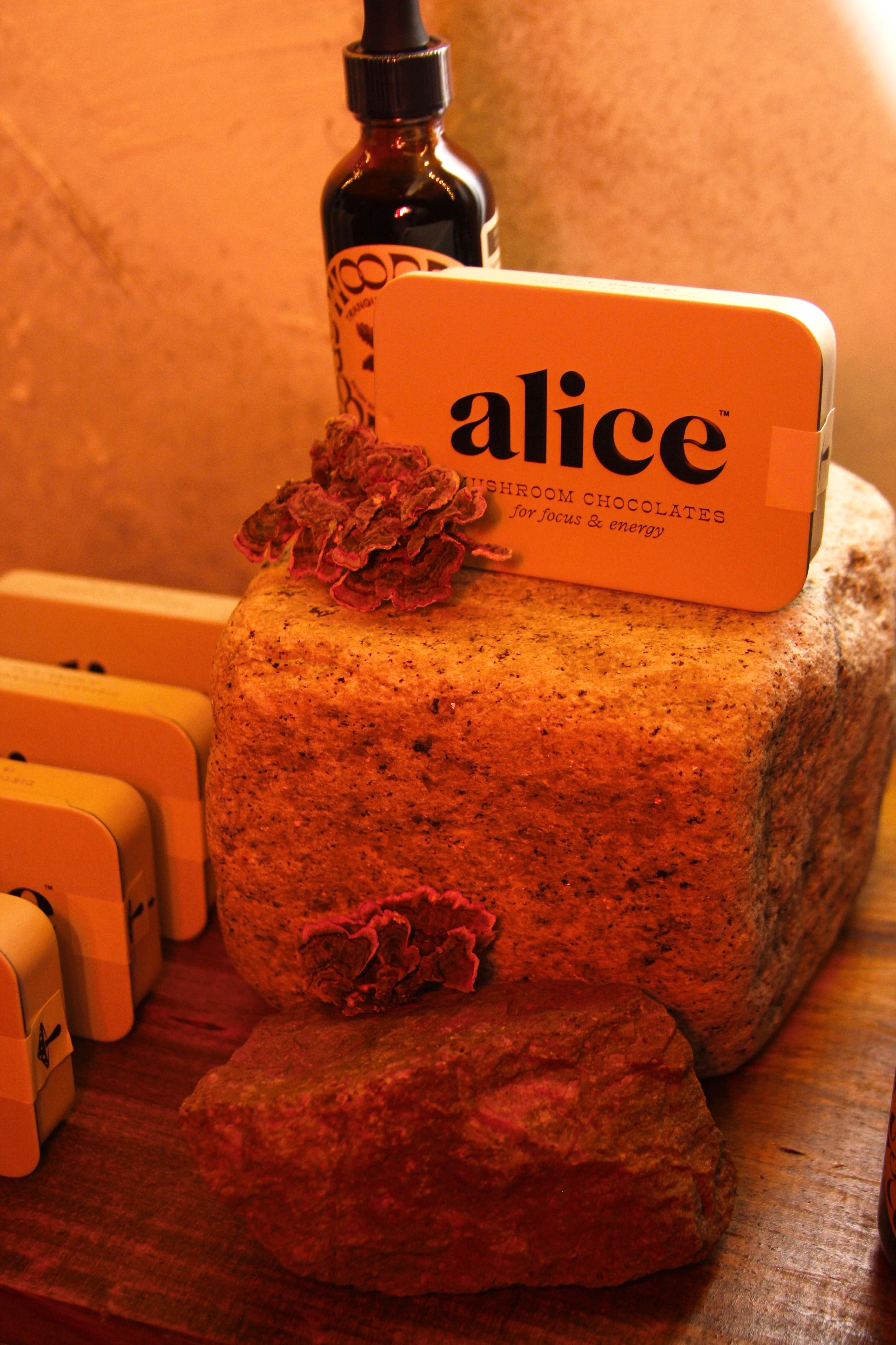 ALICE MUSHROOM CHOCOLATE SUPPLEMENT FOR FOCUS ~ BRAINSTORM