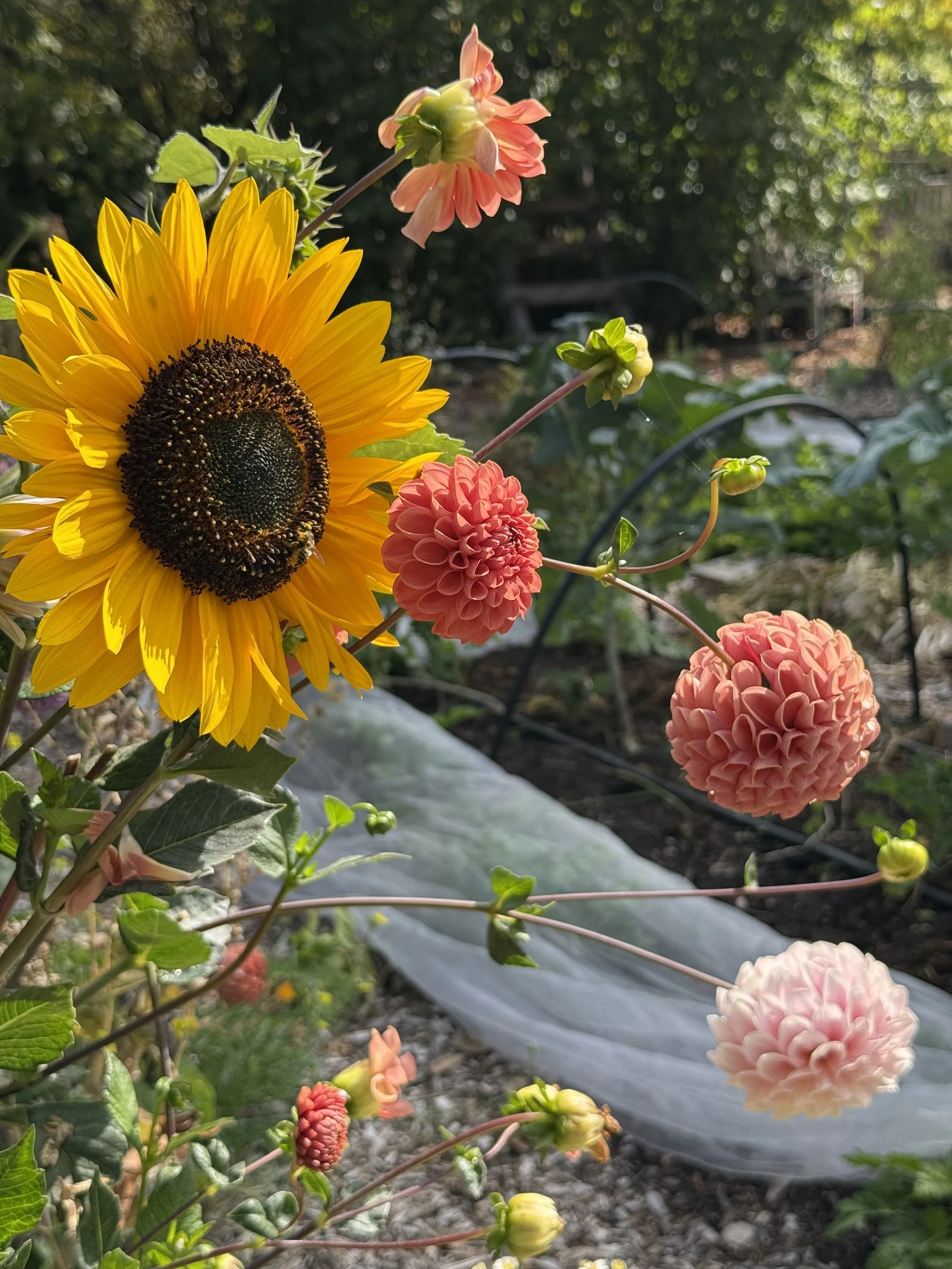 September Tasks