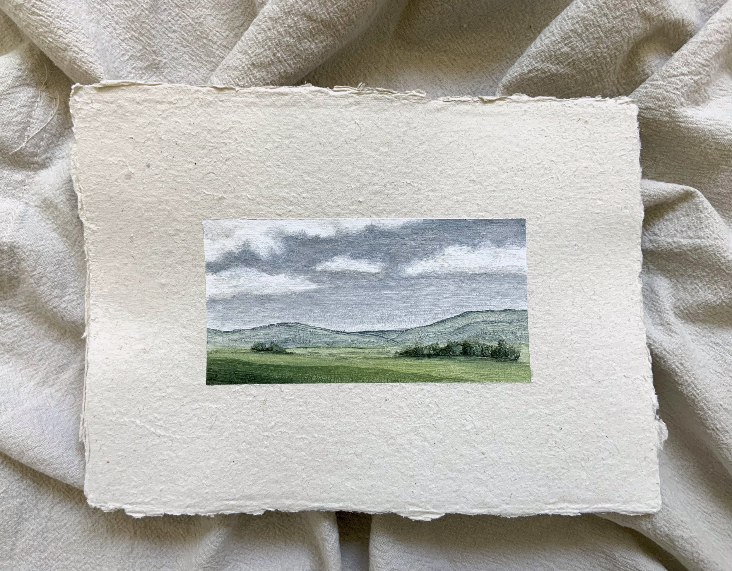 quiet fields.jpeg