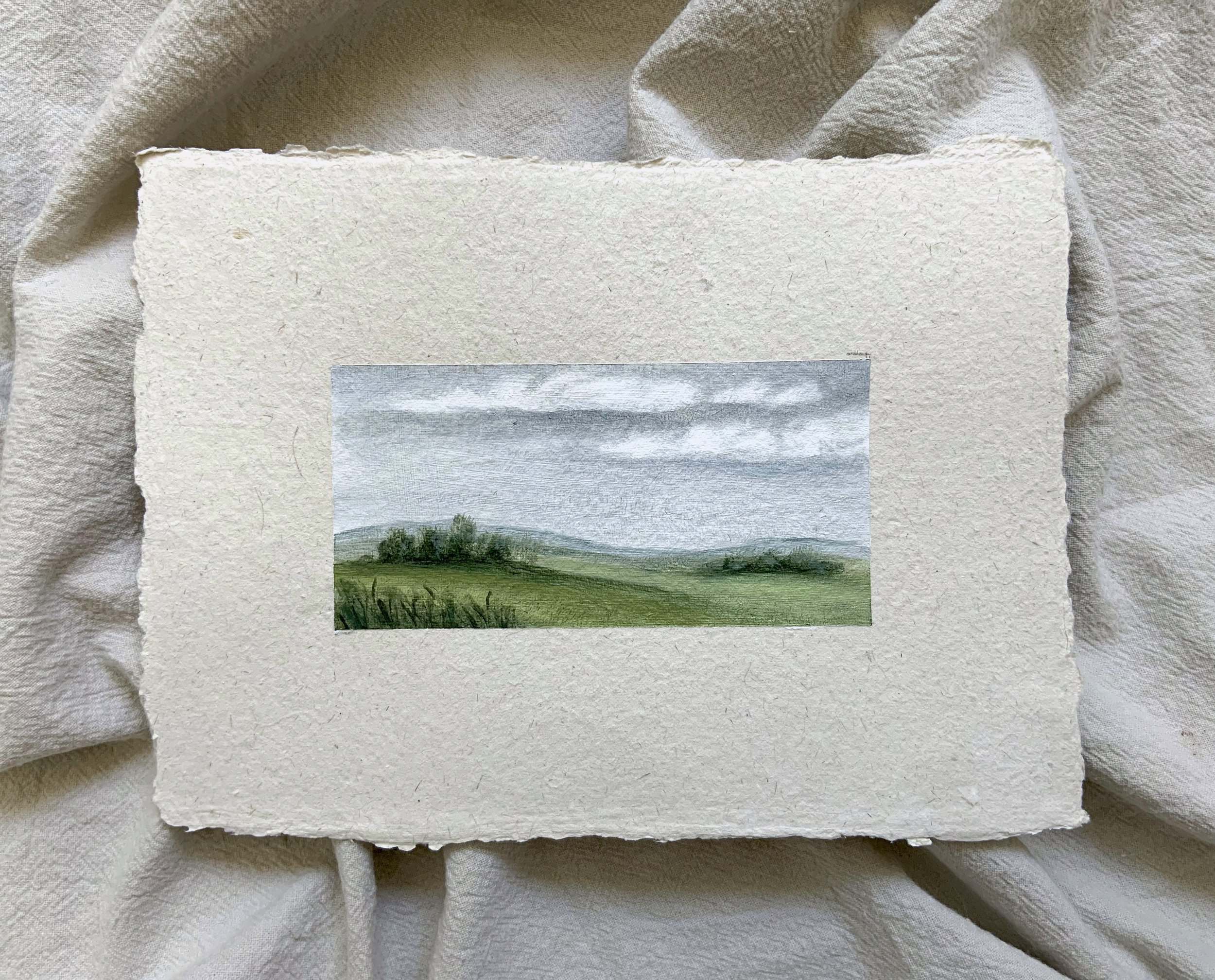 soft meadows.jpeg