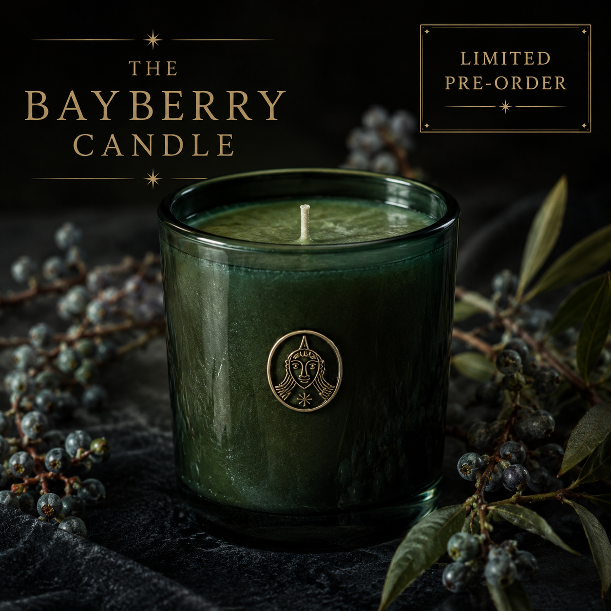 PRE ORDER BAYBERRY HEALTH AND WEALTH CANDLE