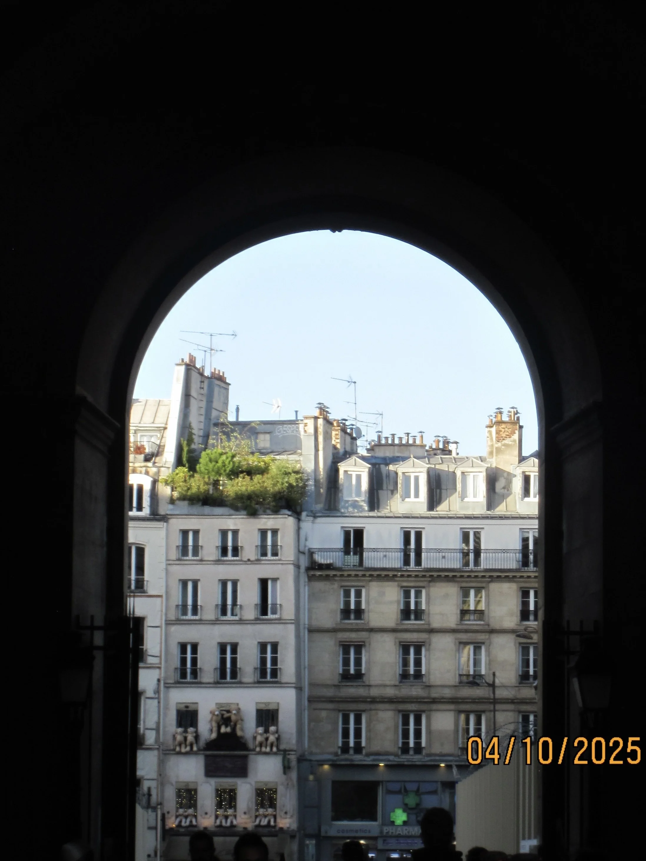 IMG_0309.jpeg