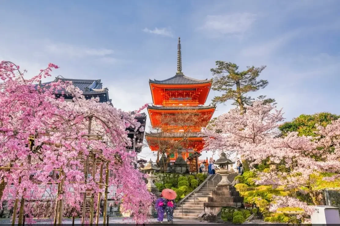 Temple Pagoda Blossoms