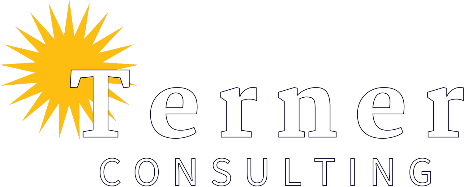 Terner Consulting