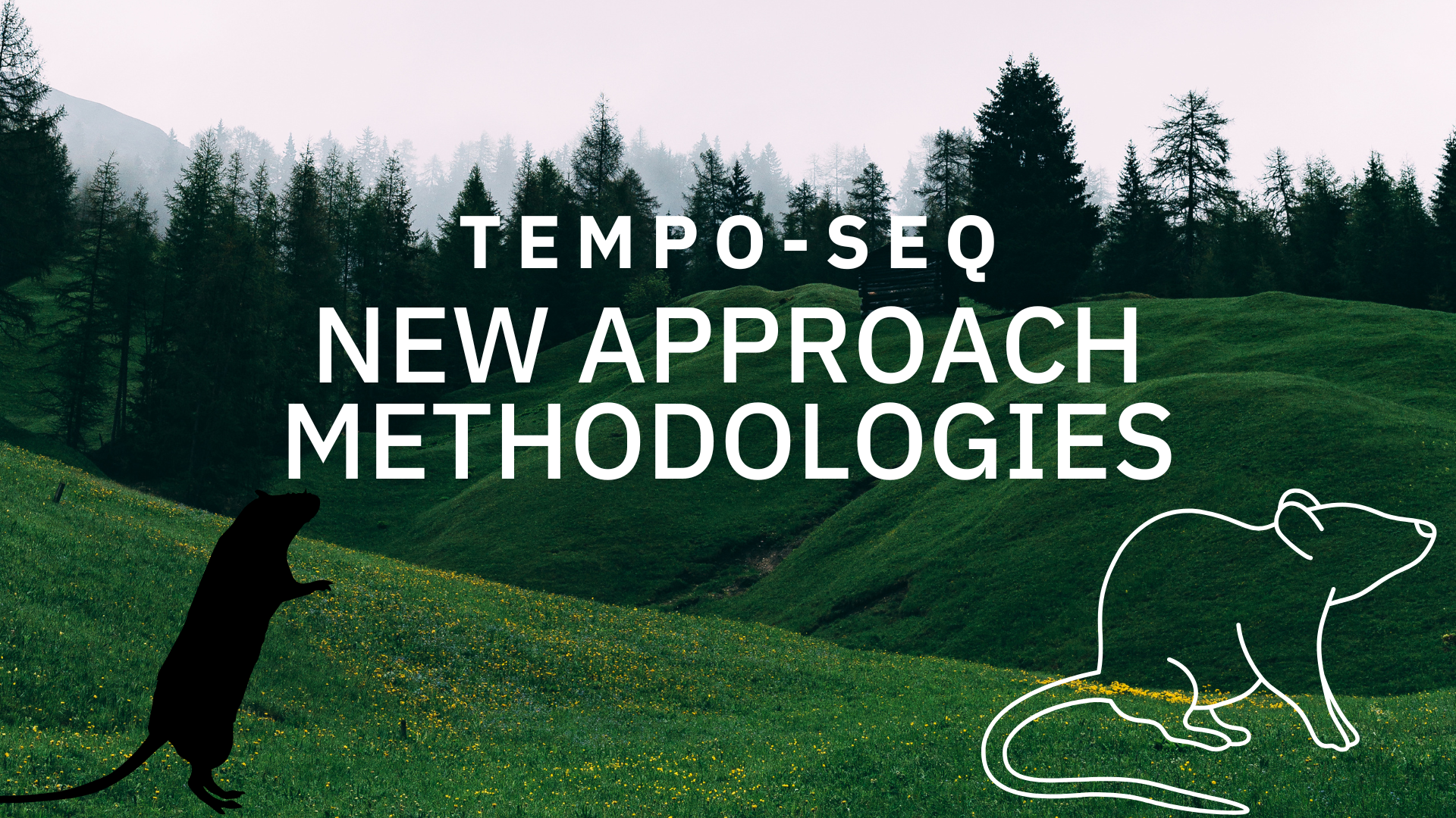 BioSpyder’s TempO-Seq Platform Supports FDA’s Expanding New Approach Methodologies Framework for Nonclinical Safety Assessment 