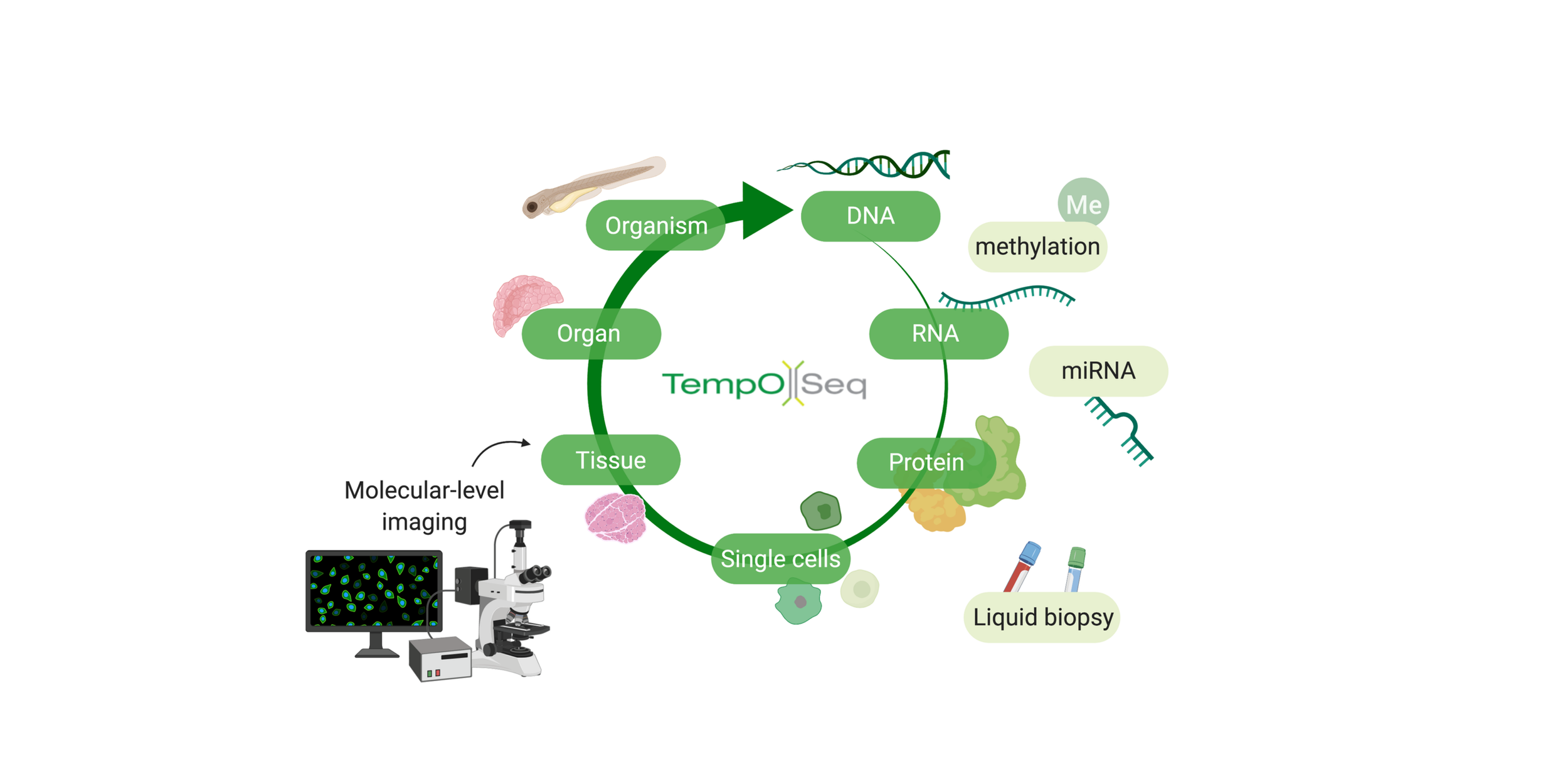 BioSpyder biological universe showing molecular profiling applications