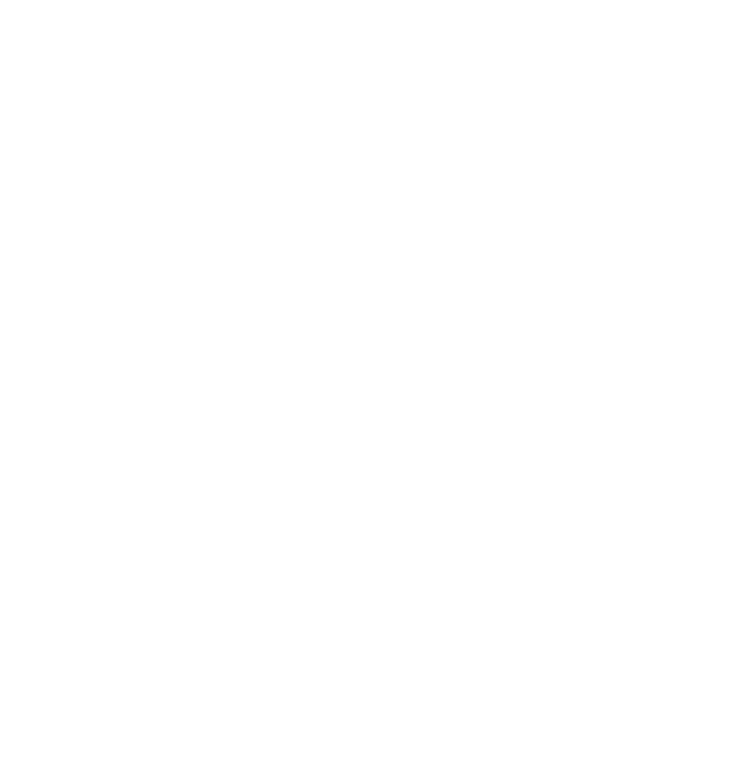 ELEVATE CAPITAL 