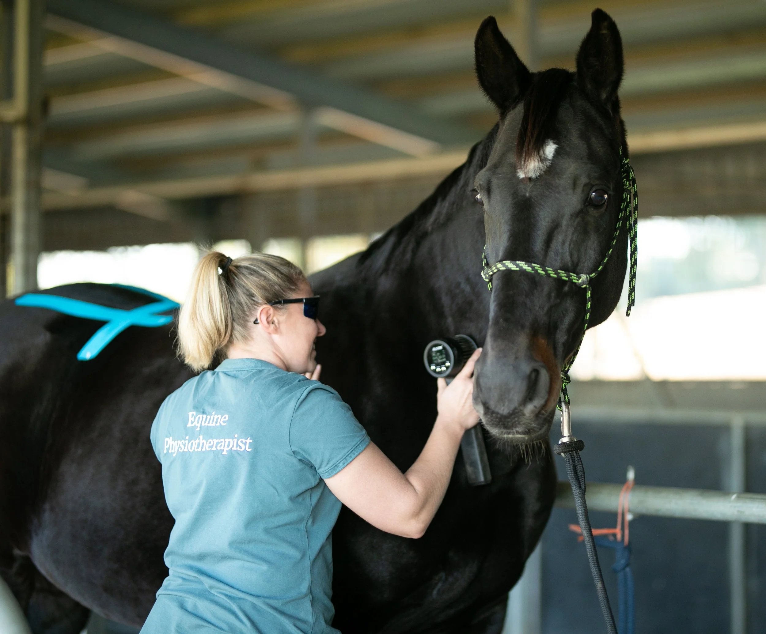 When Is Rest Not Enough? Knowing When Your Horse Needs Rehabilitation