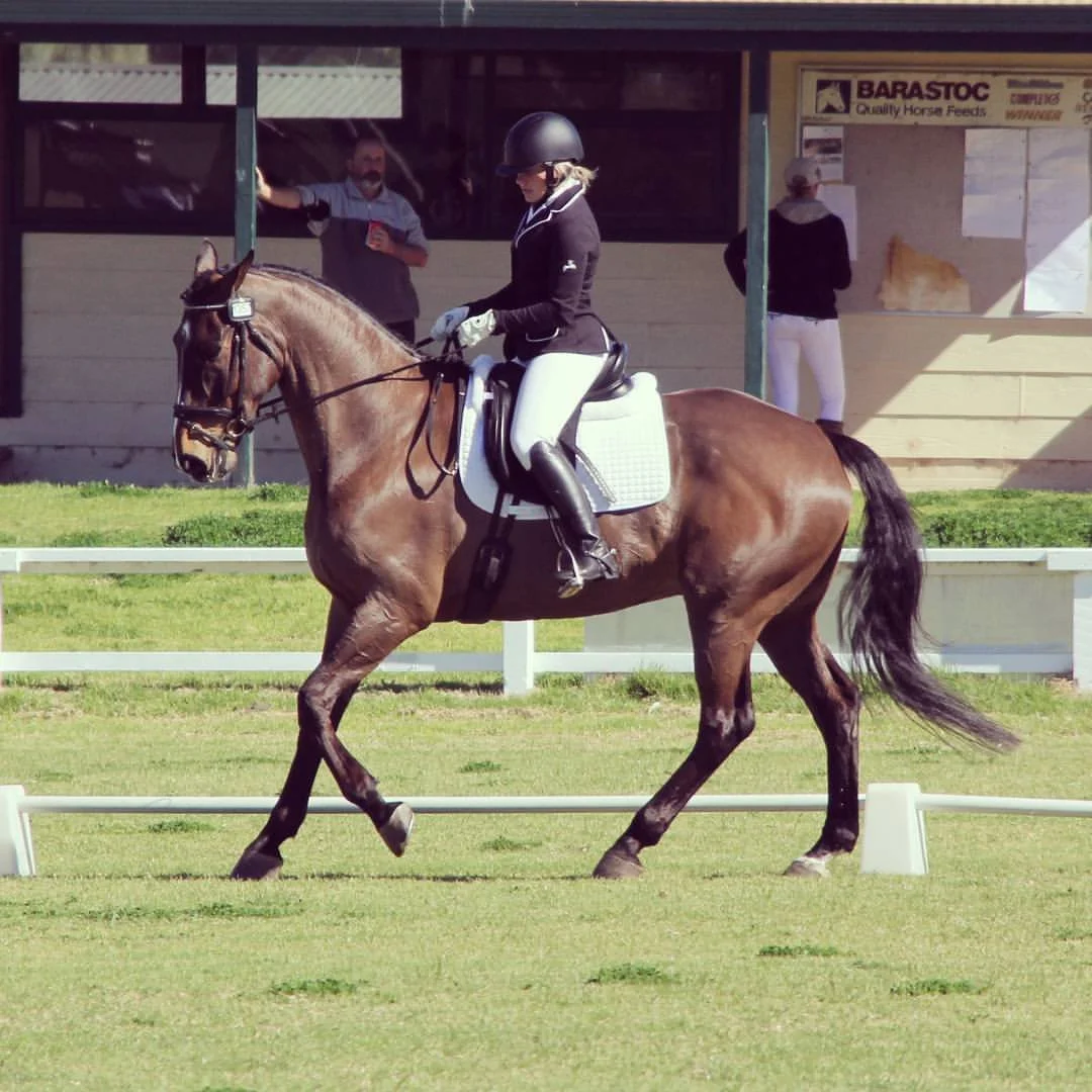 The Rehab Grey Zone: When Your Horse Isn’t Lame but Isn’t Quite Right