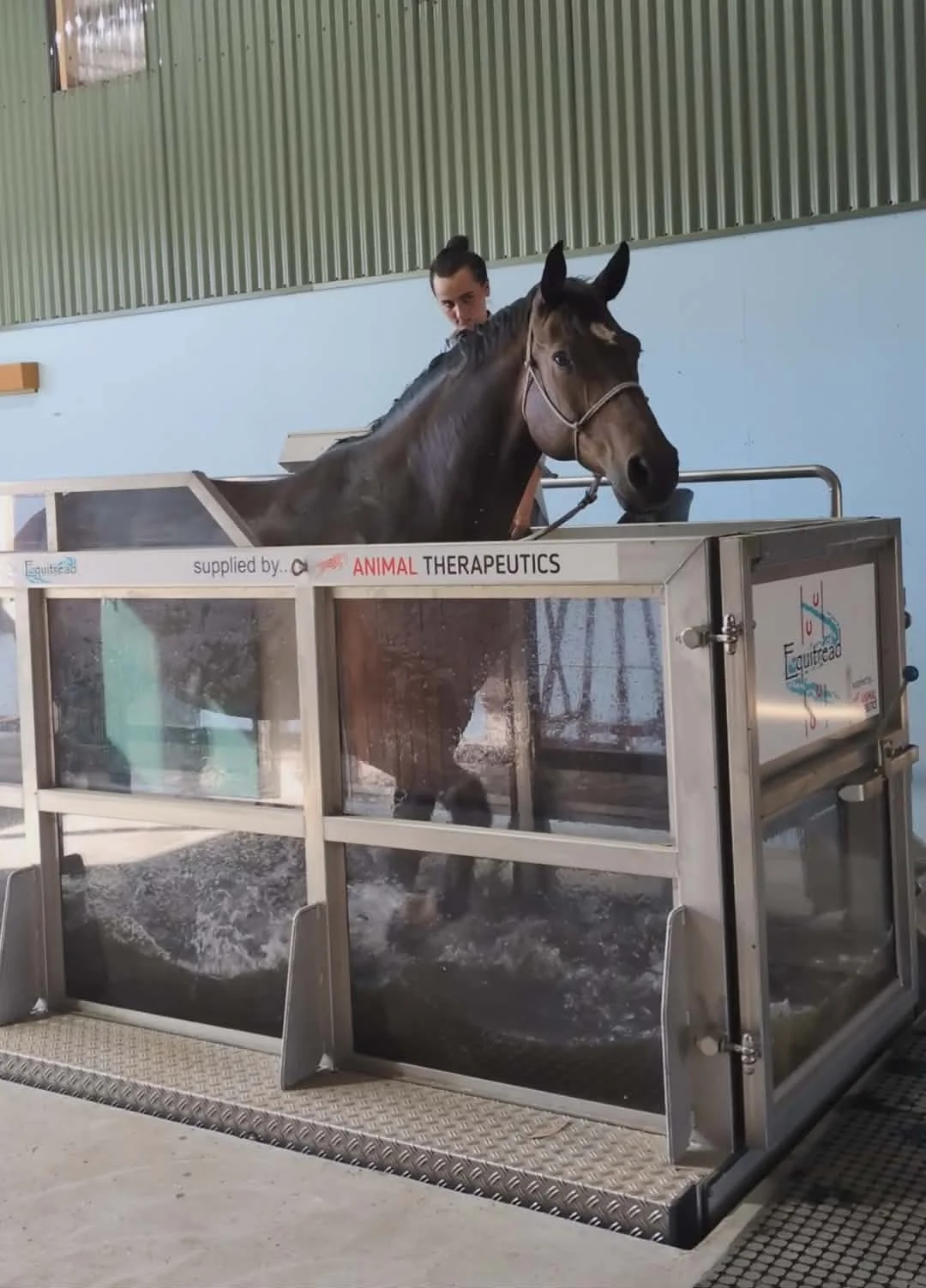 Building a Rehab-Ready Horse: Why Strength and Conditioning Matter After Recovery