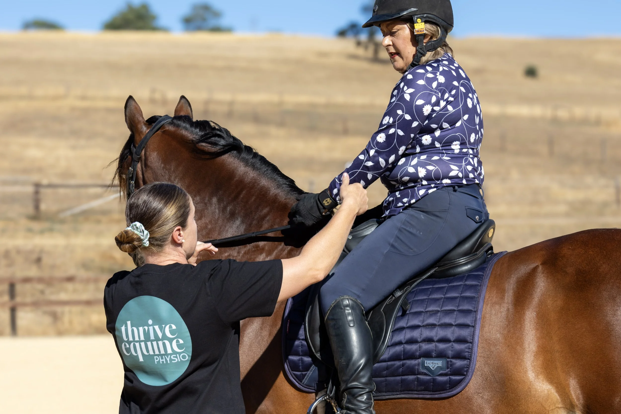 Why Rider Asymmetry Directly Influences Horse Movement and Performance