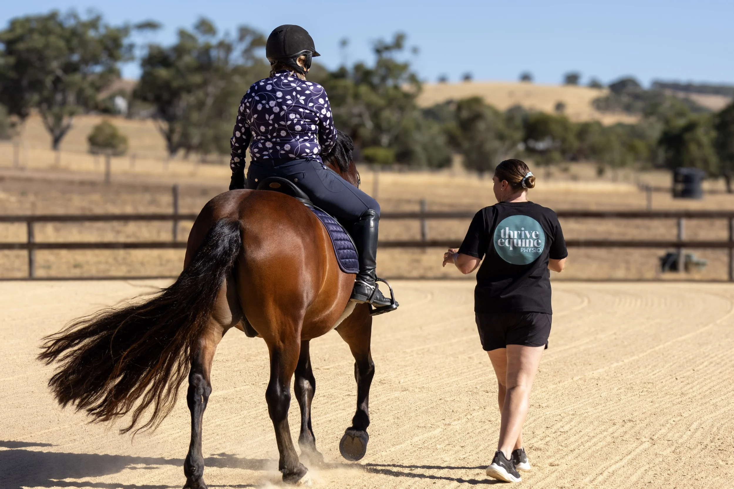 What to Expect in a Rider Physiotherapy Assessment