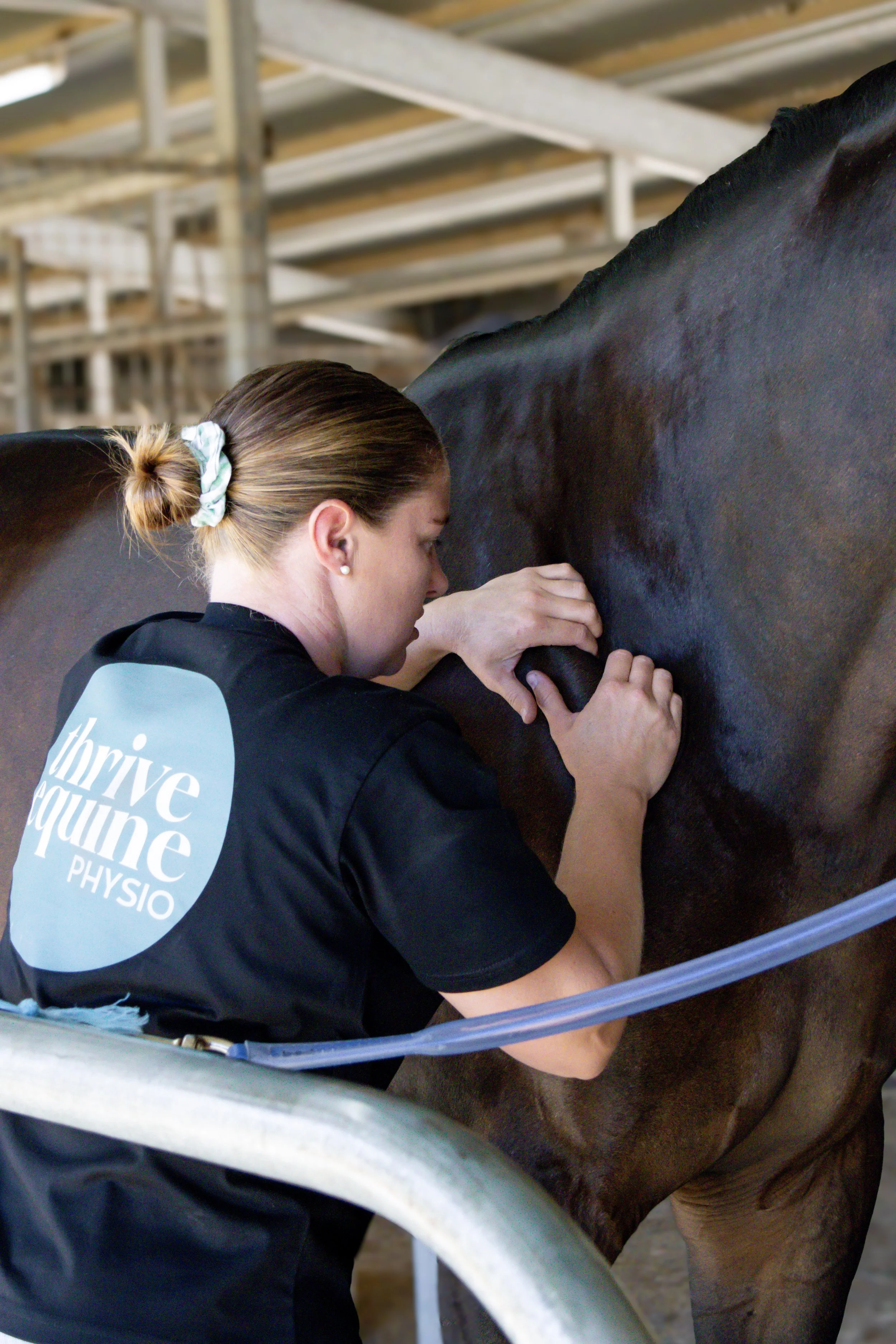 Equine physiotherapist treating a horse with neck pain to improve their performance.