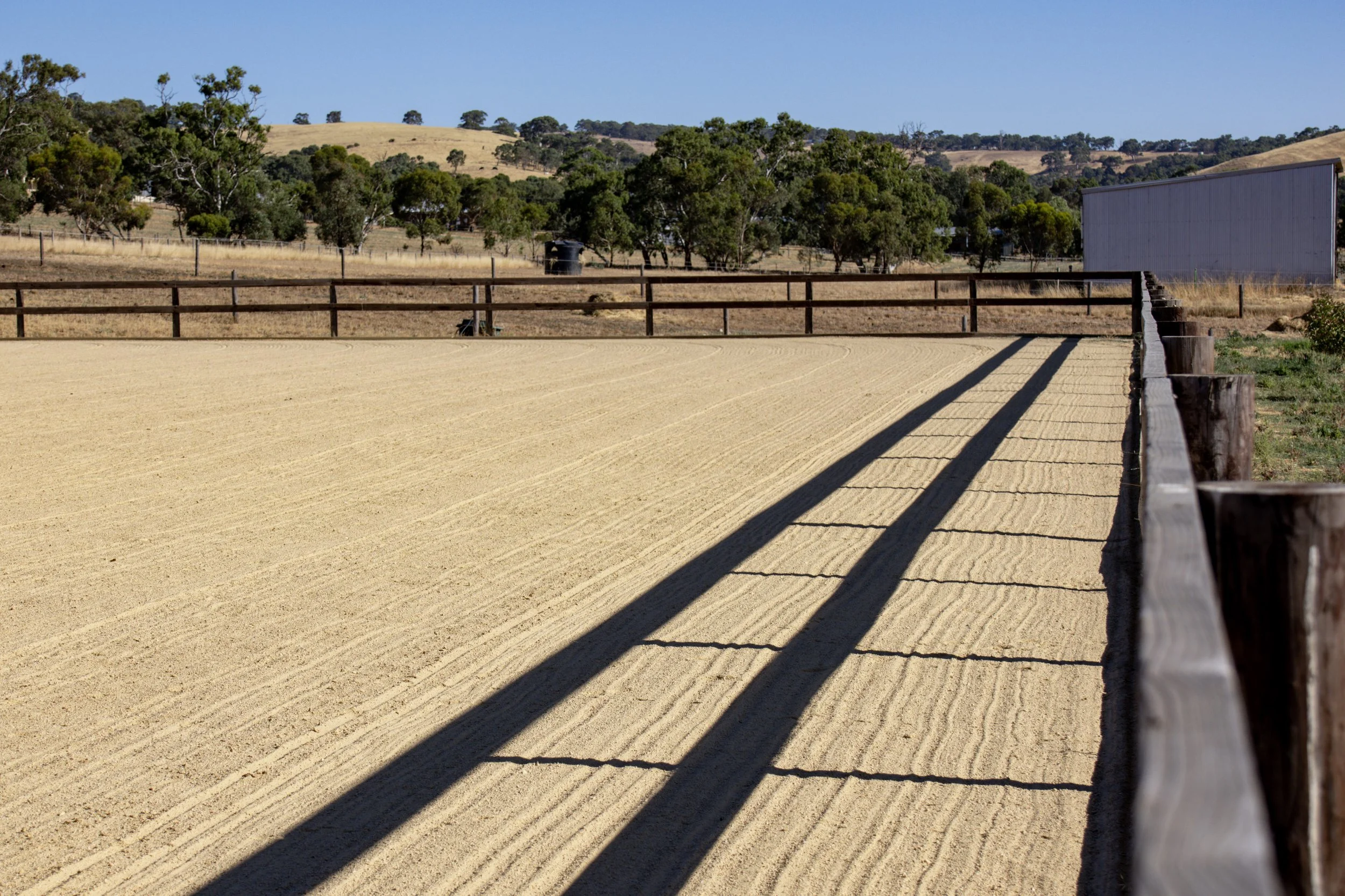 The 60m by 40m all weather arena at Thrive Equine Physio, perfect for rider physiotherapy sessions.