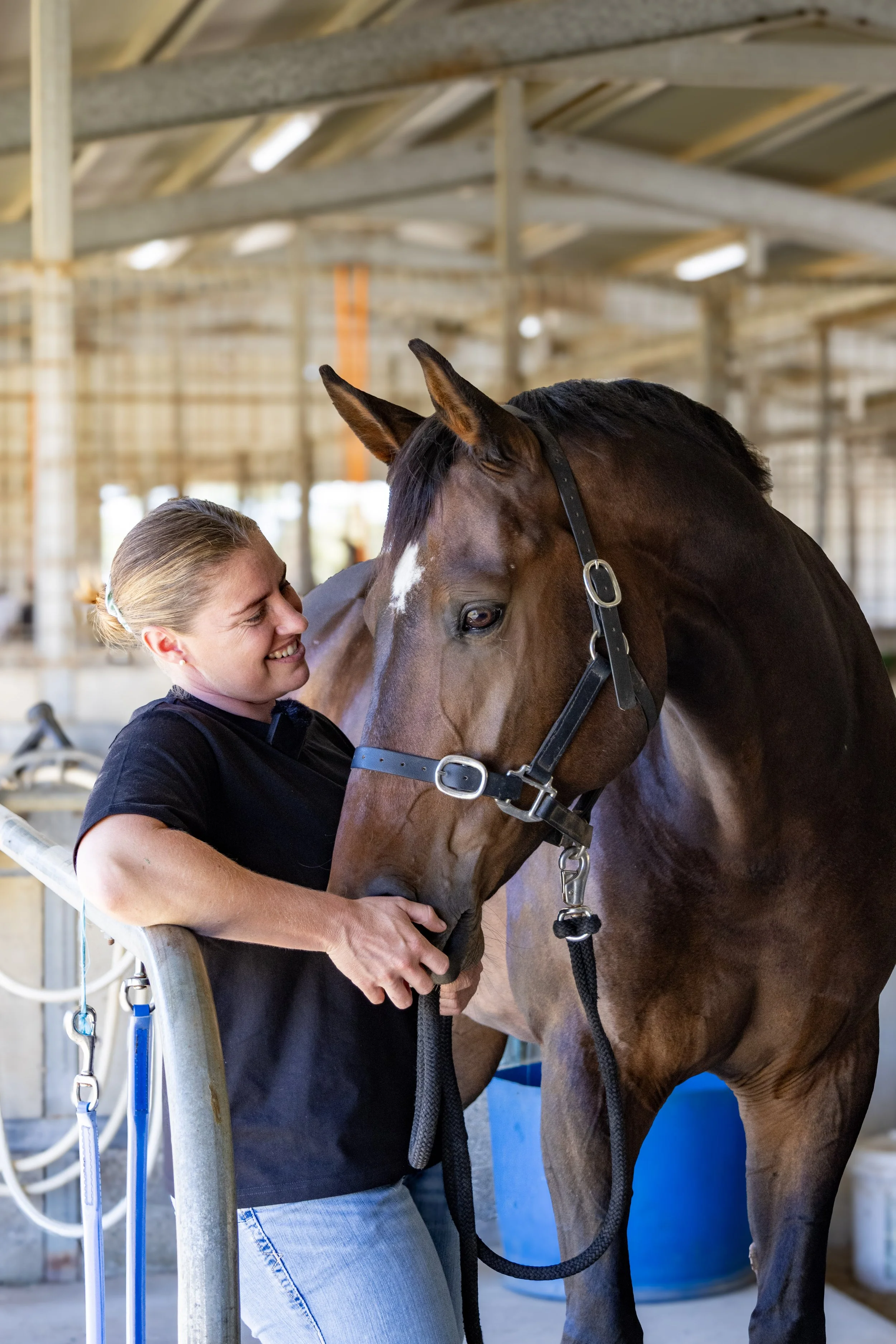 Equine physio treating a horse for back soreness.