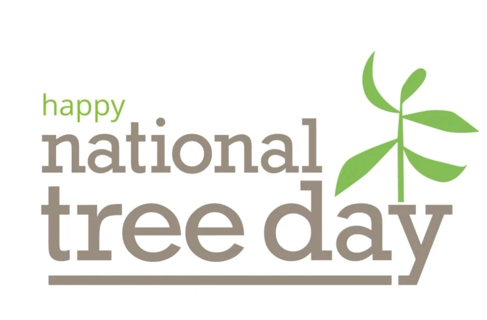 National Tree Day