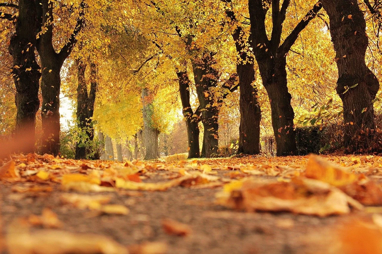 Autumn Equinox (1:45)