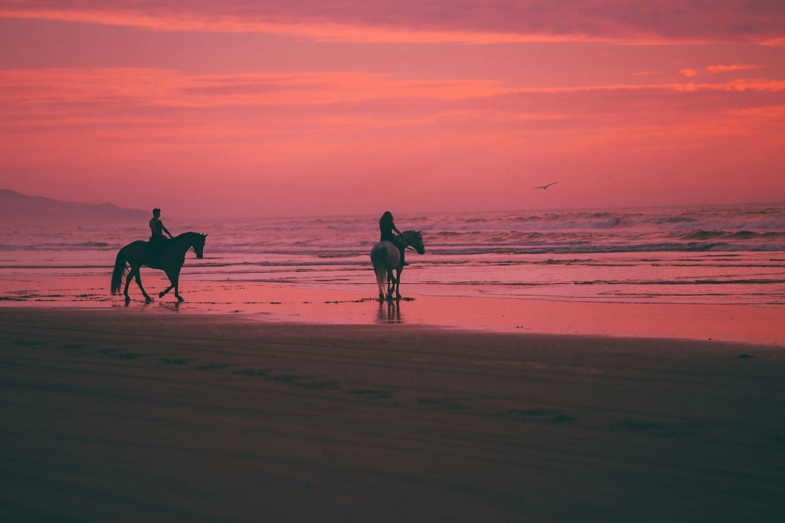 unsplash-image-wQz3vdyueDE.jpg