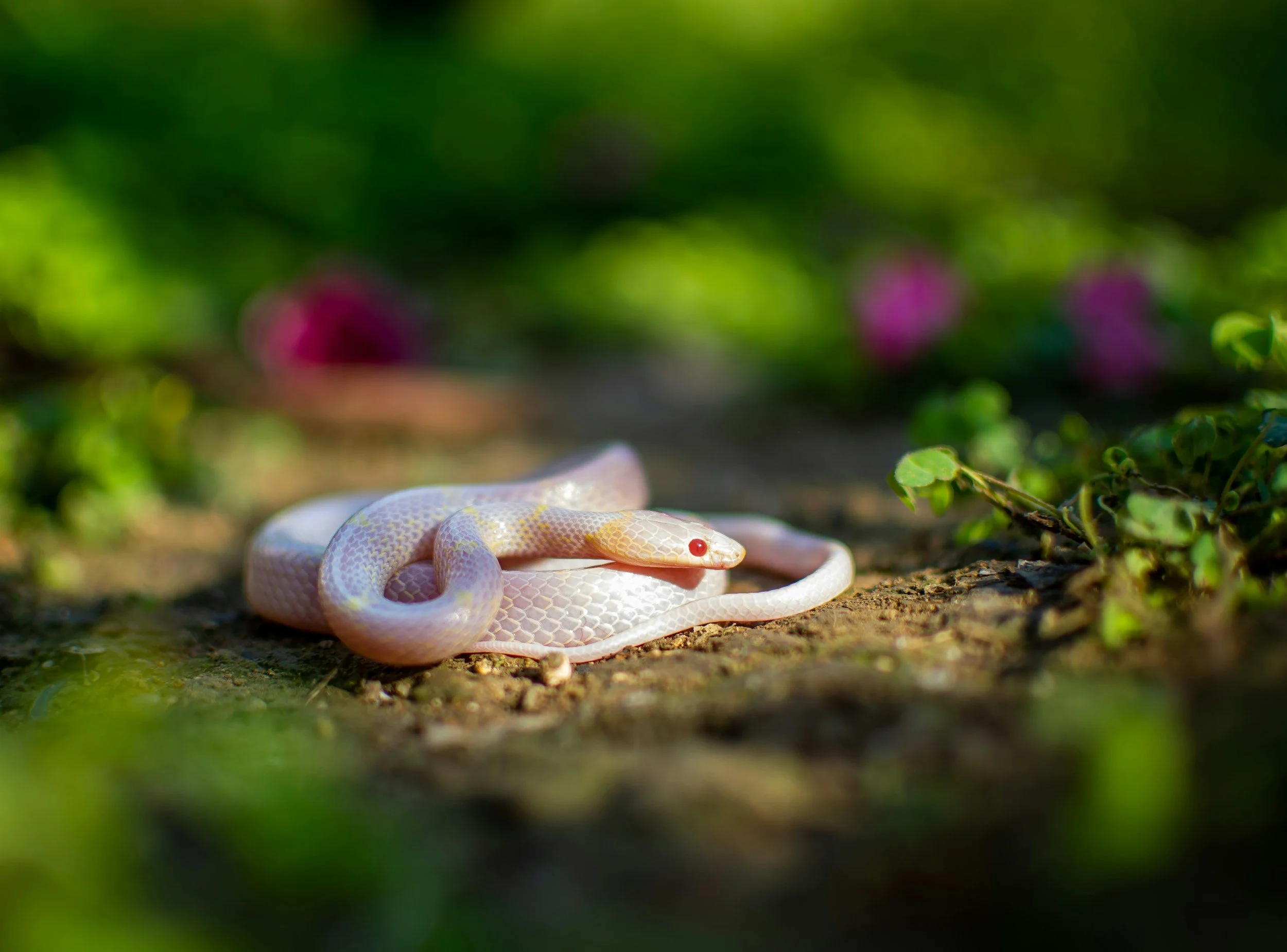 unsplash-image-8JLrcdcCd5Y.jpg