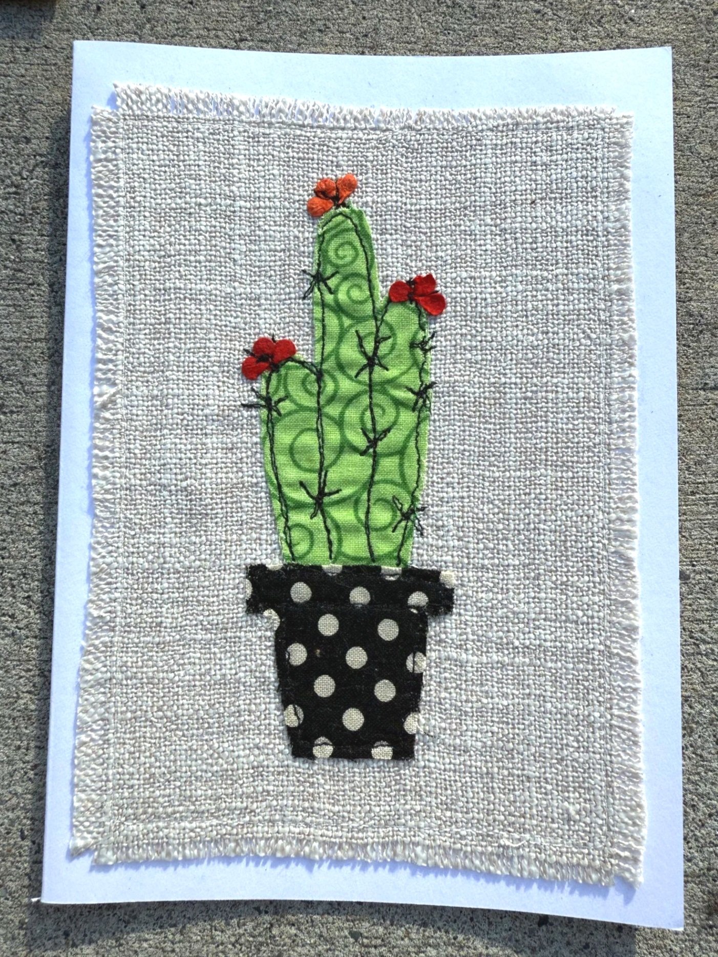 cactus.jpg
