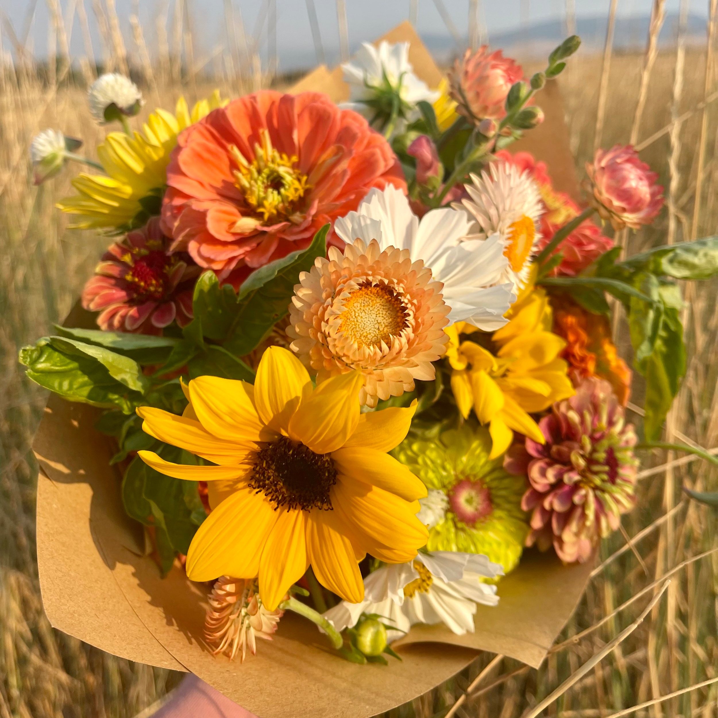 Late Summer 5 Week Subscription-TUESDAY