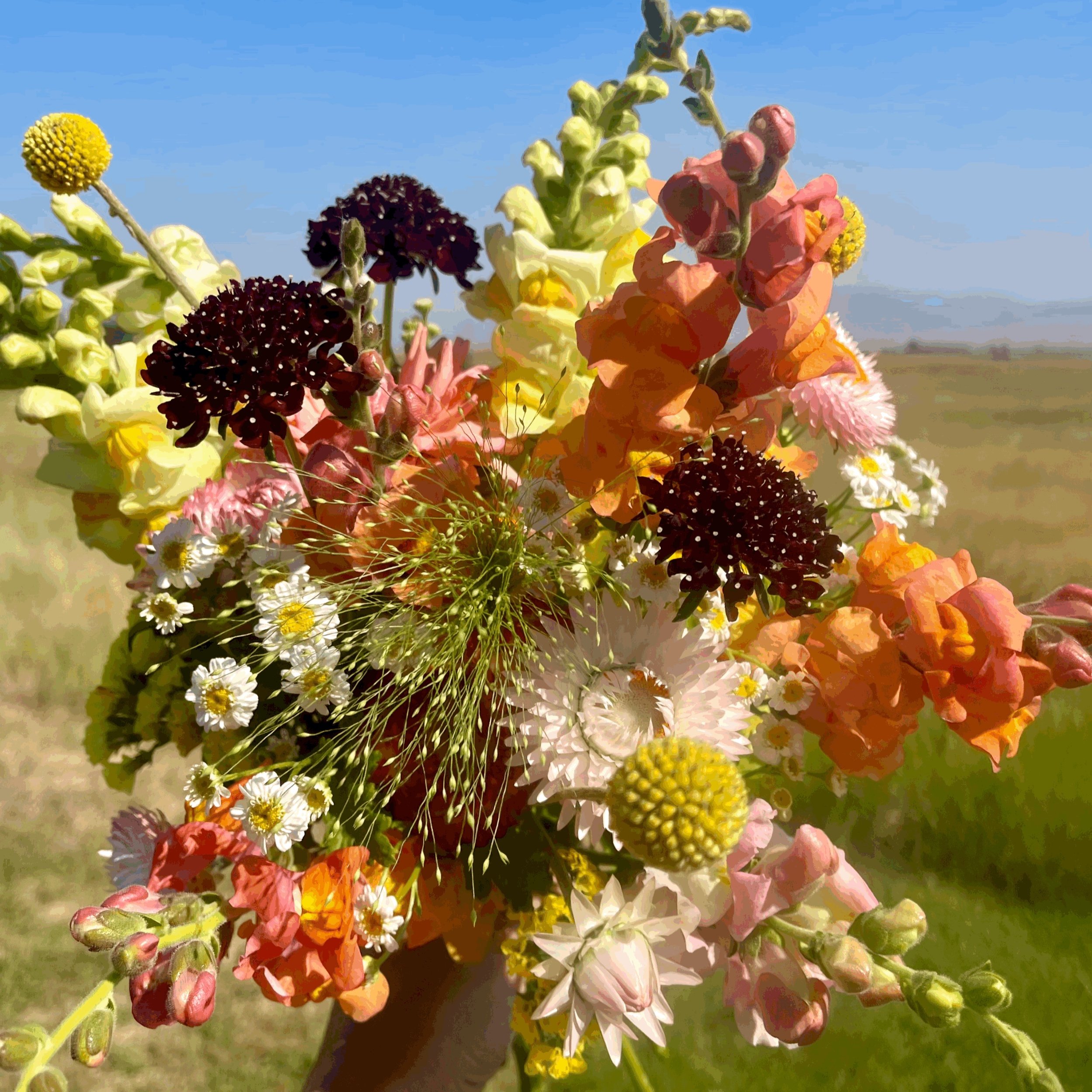 Custom Market Bouquet