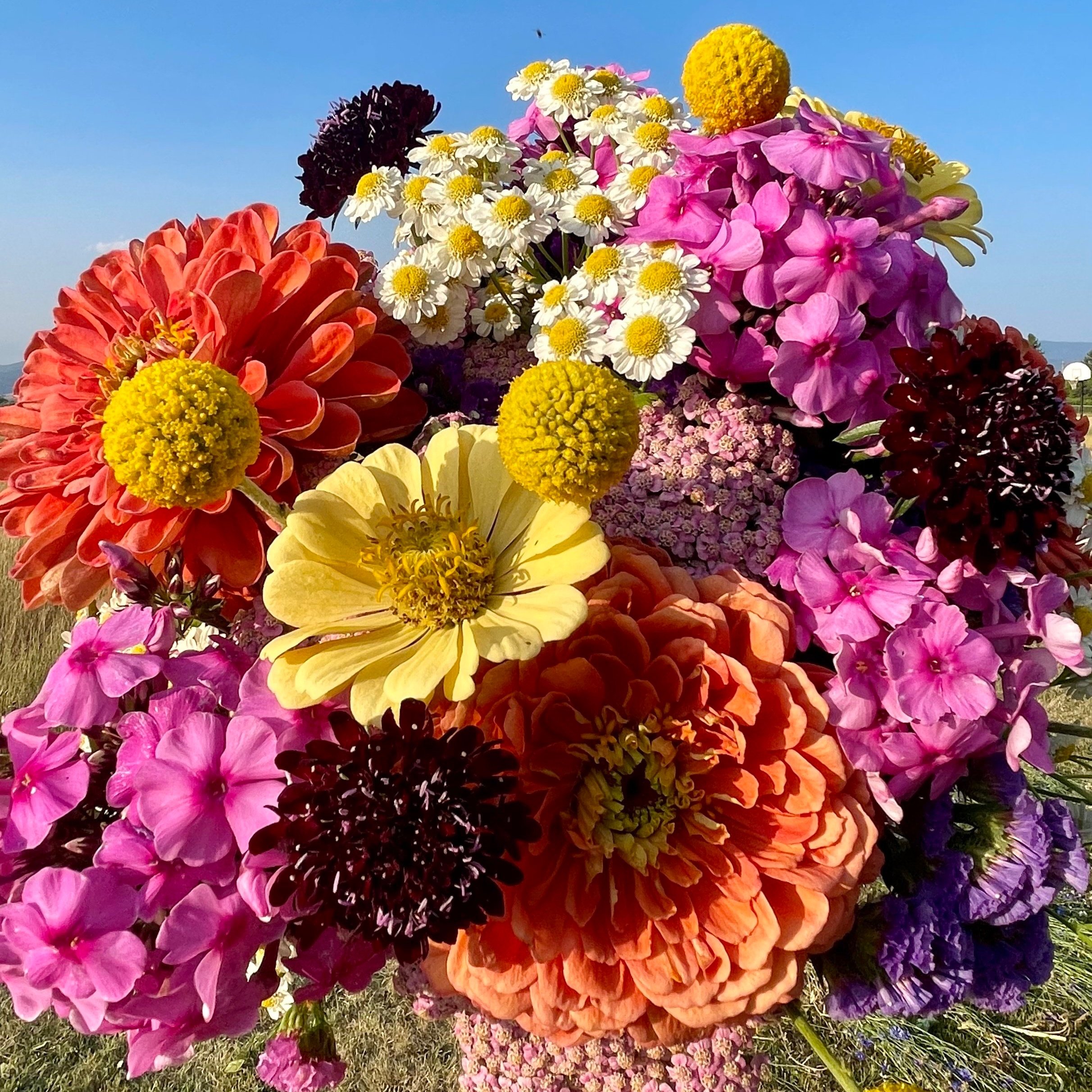 Mid Summer 5 Week Subscription-TUESDAY
