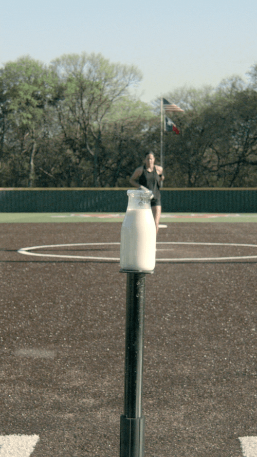 Cat.gif