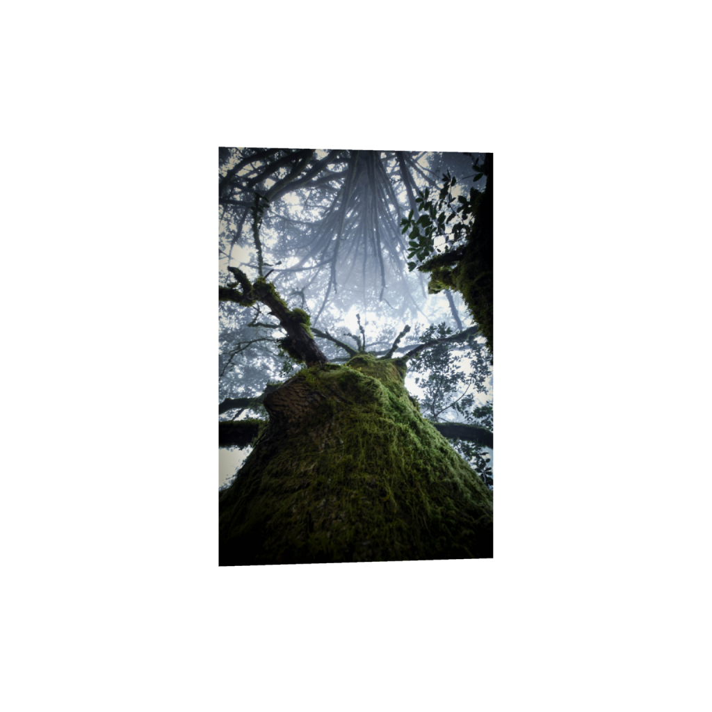 ptq_1_3_0_0_3712_5568_0_false_ffffff_0_0_.png