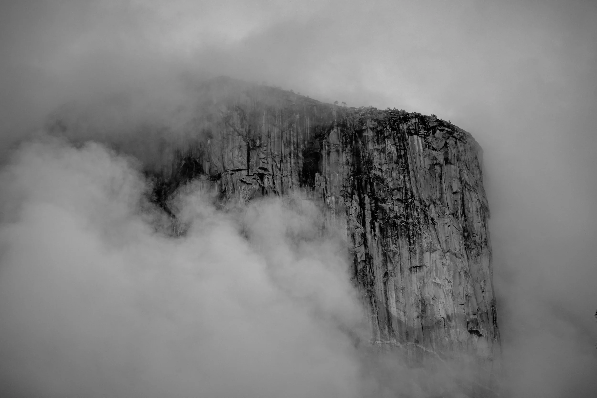 DSC_9705.jpg
