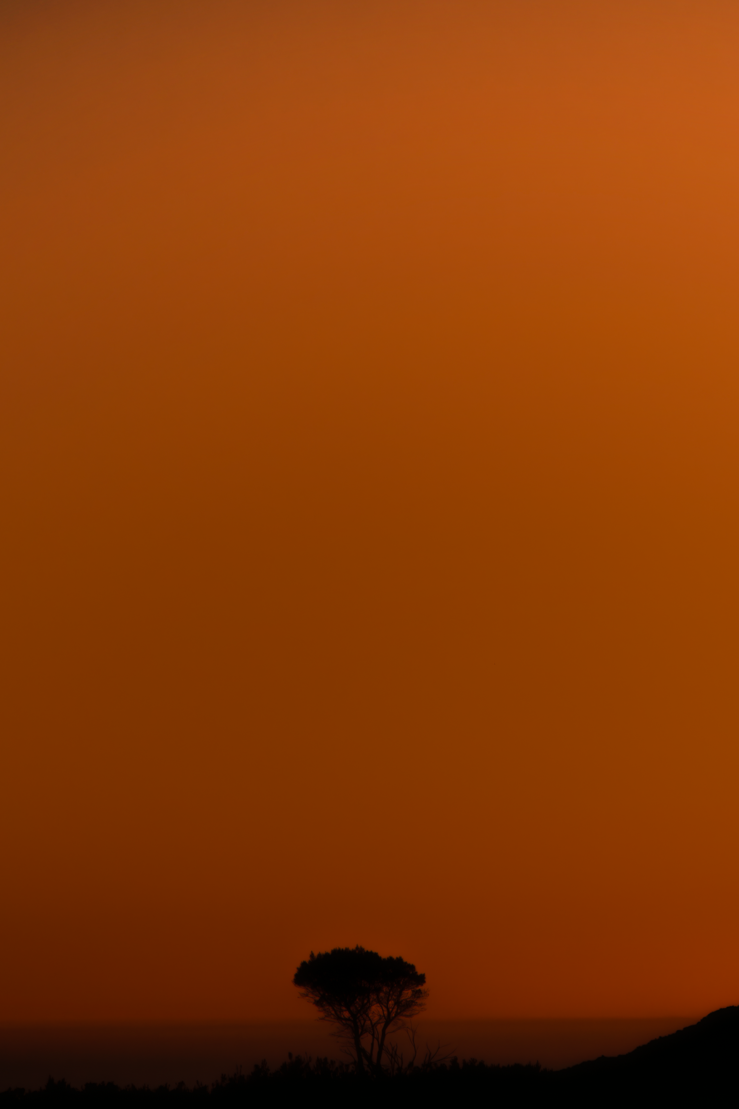 DSC_0158-Enhanced-NR.png