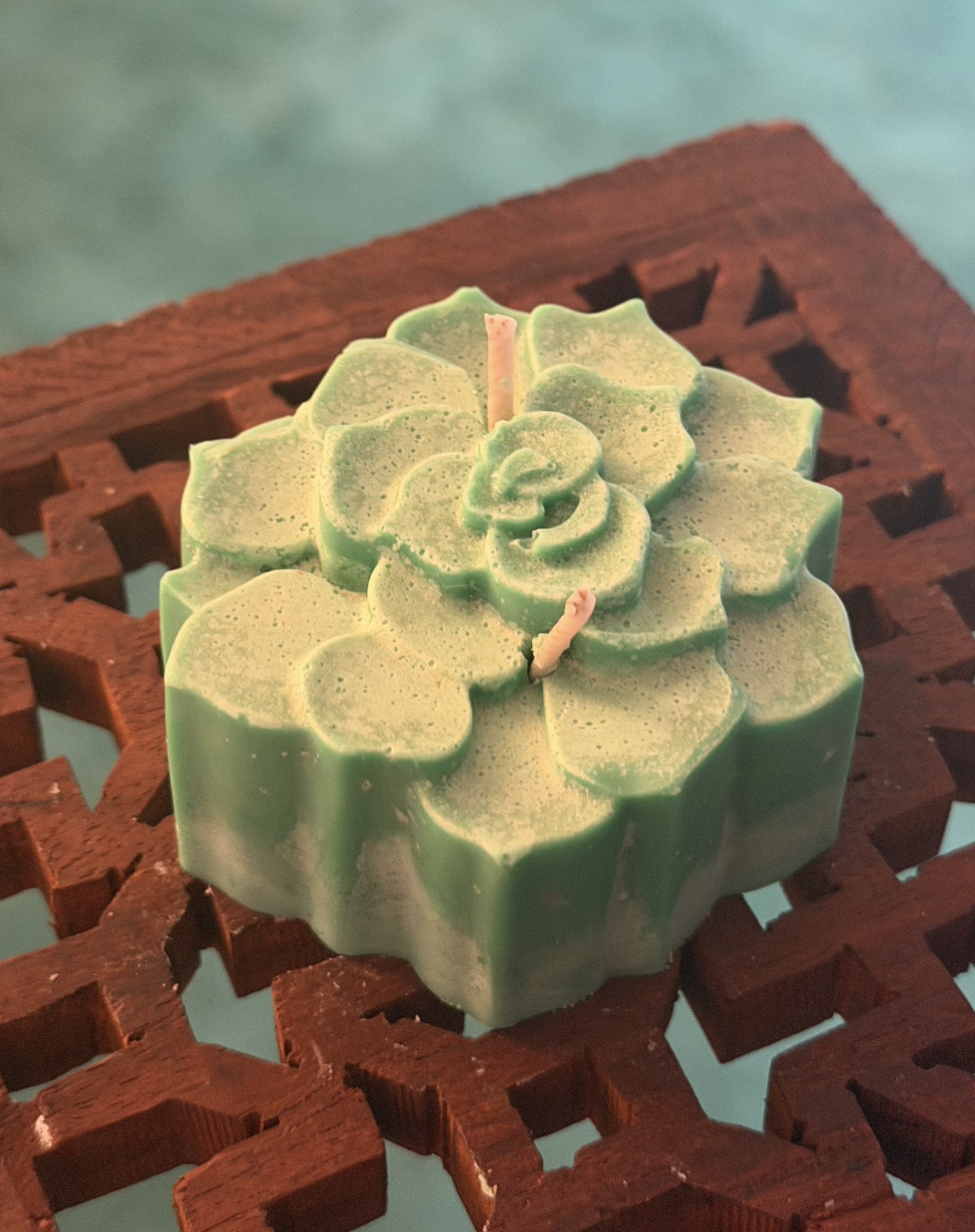 Screenshot 2026-02-18 at 1.39.23 PM.png