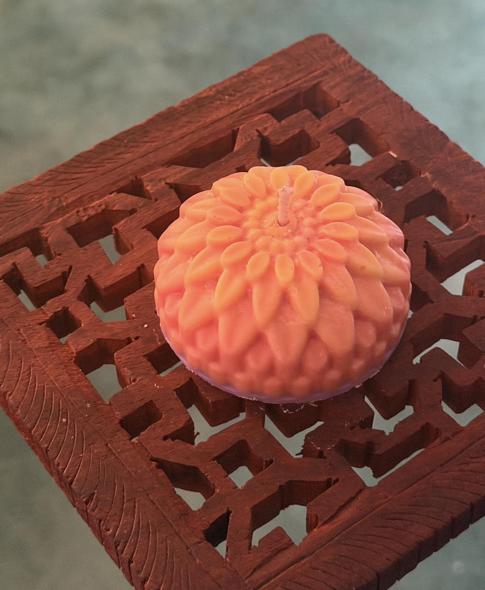 Screenshot 2026-02-18 at 1.38.57 PM.png