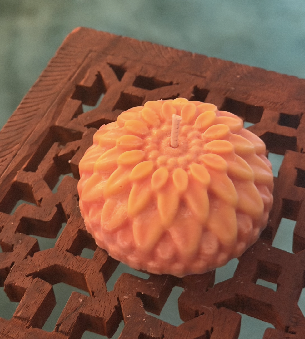 Screenshot 2026-02-18 at 1.39.12 PM.png