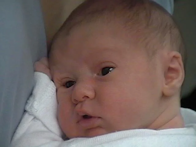 molmudarchive - 219.jpeg