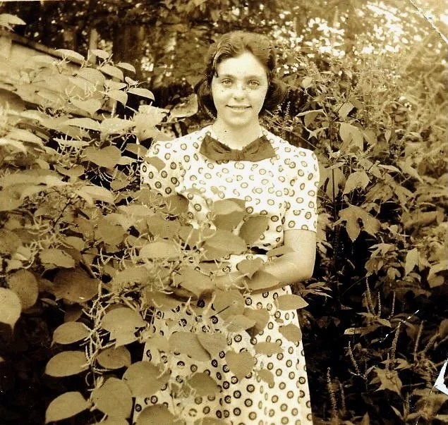 molmudarchive - 72.jpeg