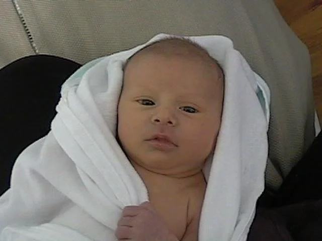 molmudarchive - 220.jpeg