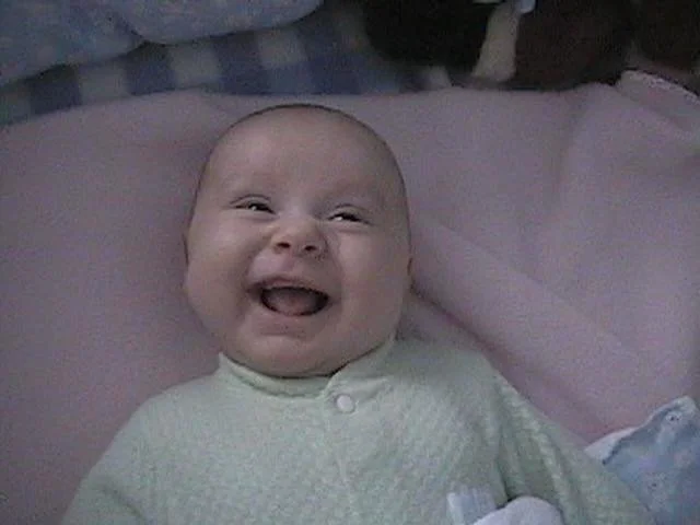 molmudarchive - 212.jpeg