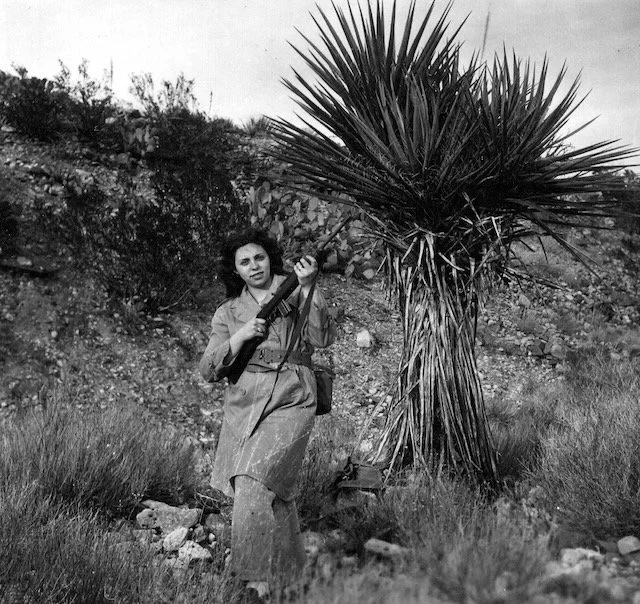 molmudarchive - 86.jpeg