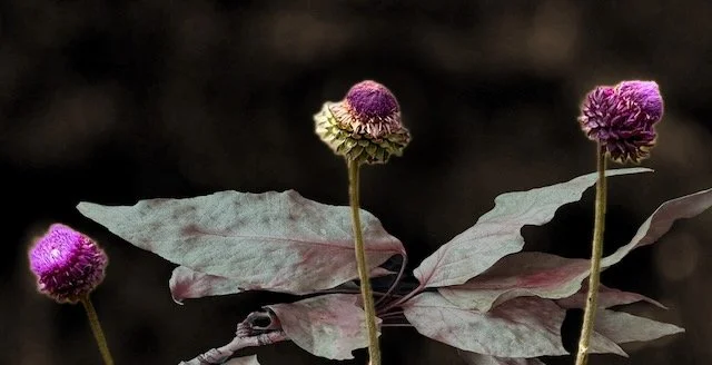 august2025 - 12.jpeg