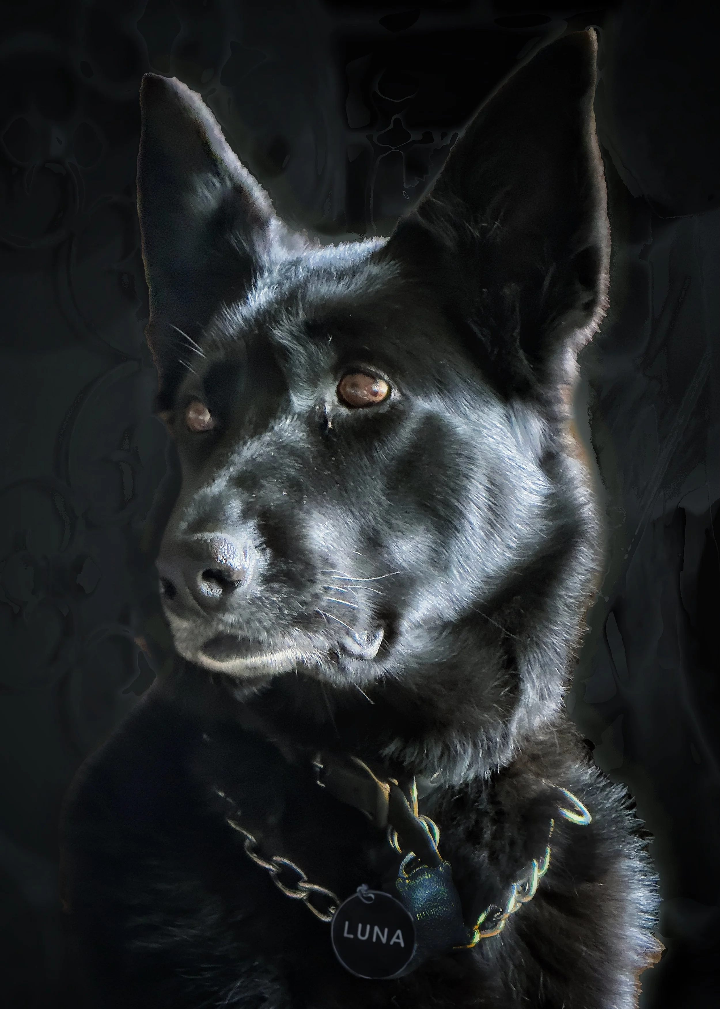 luna0 - 23.jpeg
