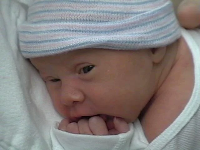 molmudarchive - 213.jpeg