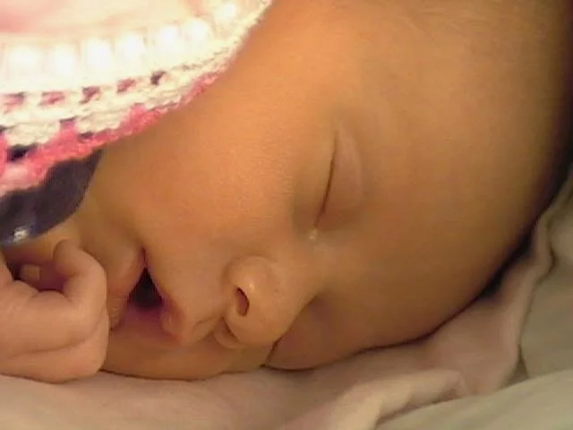 molmudarchive - 211.jpeg