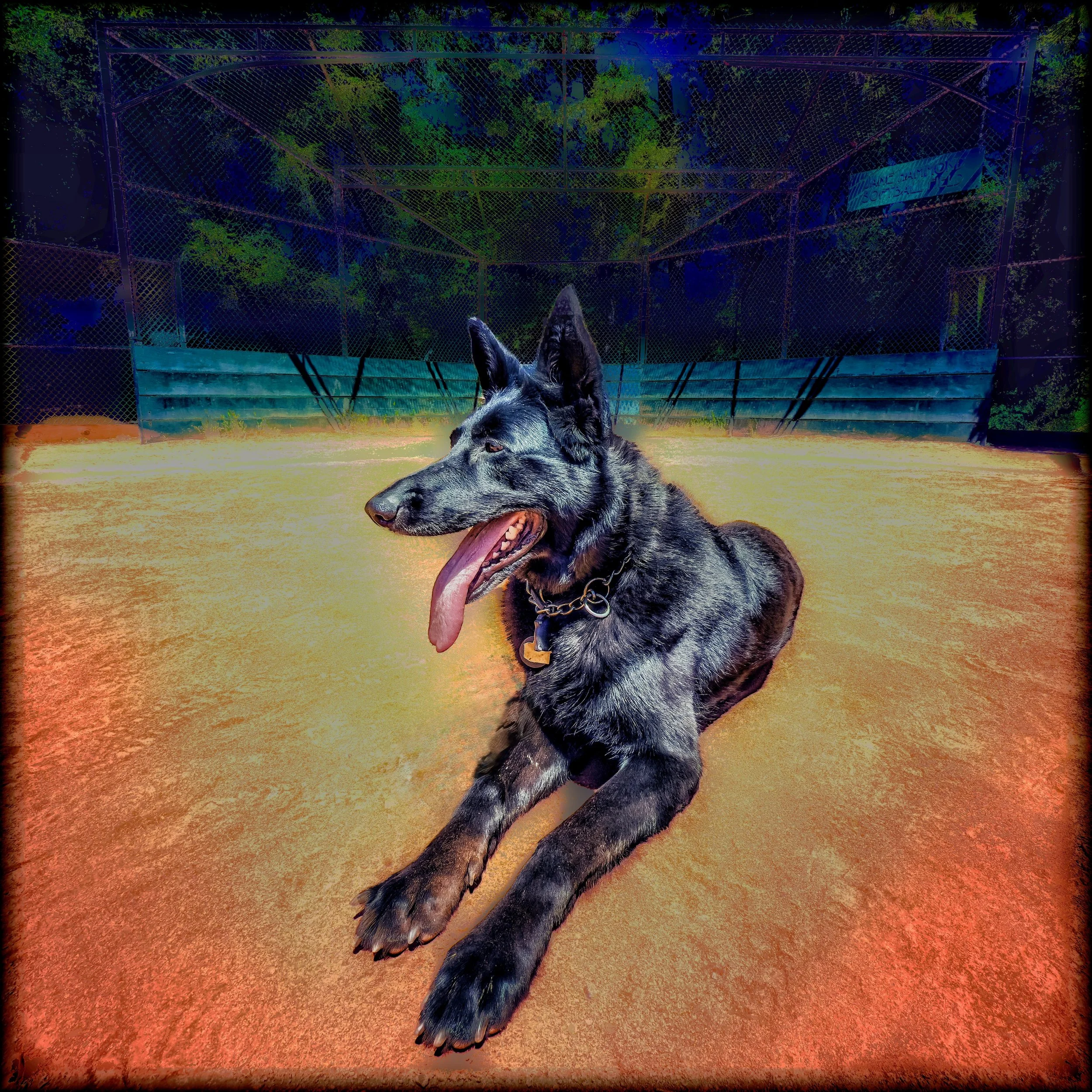 luna0 - 20.jpeg