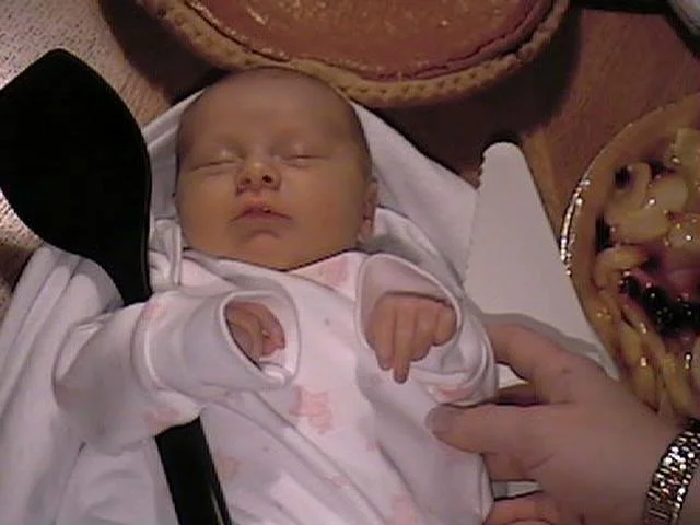 molmudarchive - 218.jpeg