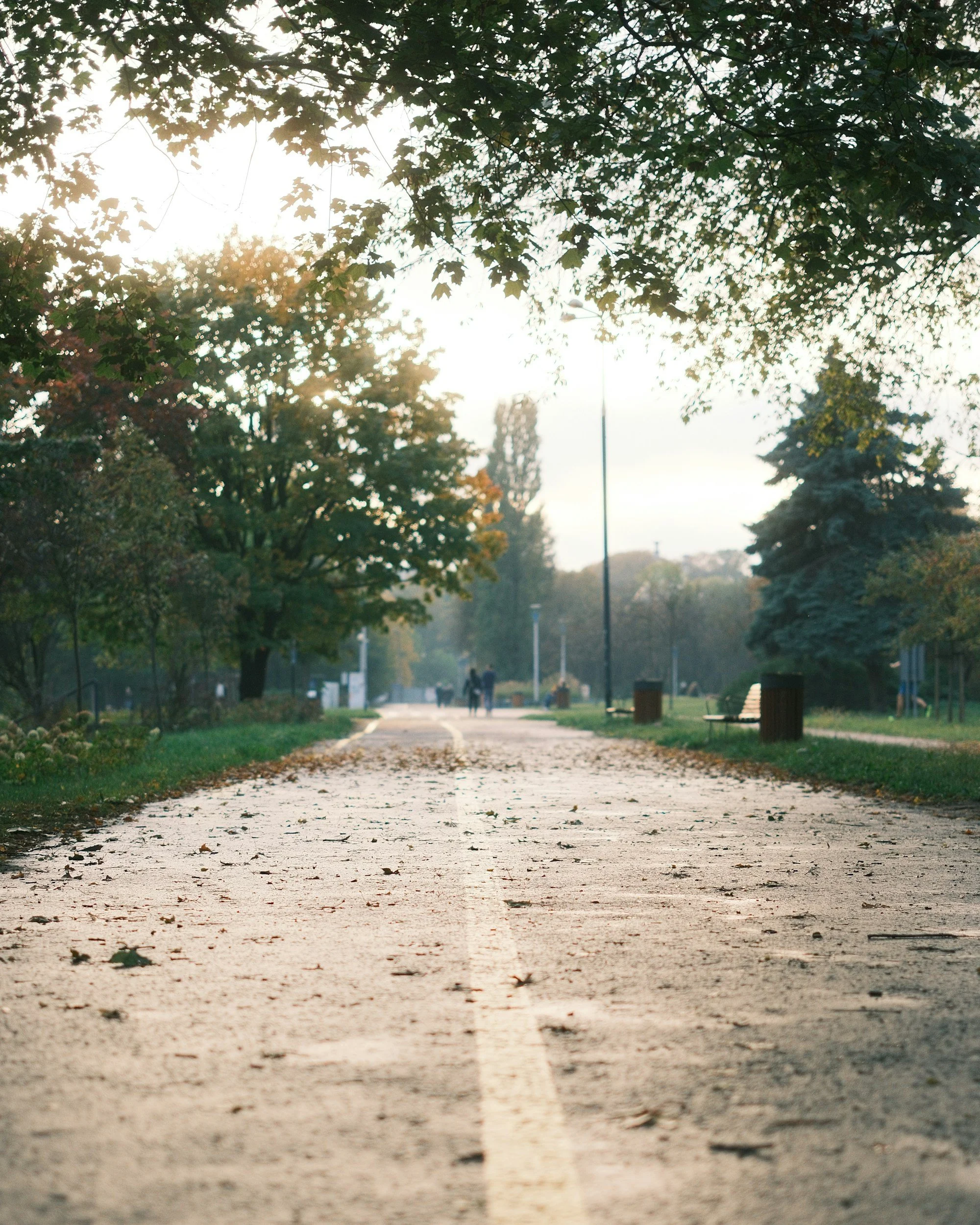 A peaceful park pathway with trees on both sides and a few people walking in the distance, during the late afternoon or early evening.